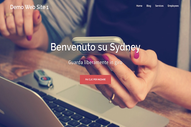 Realizzazione Siti Web Business